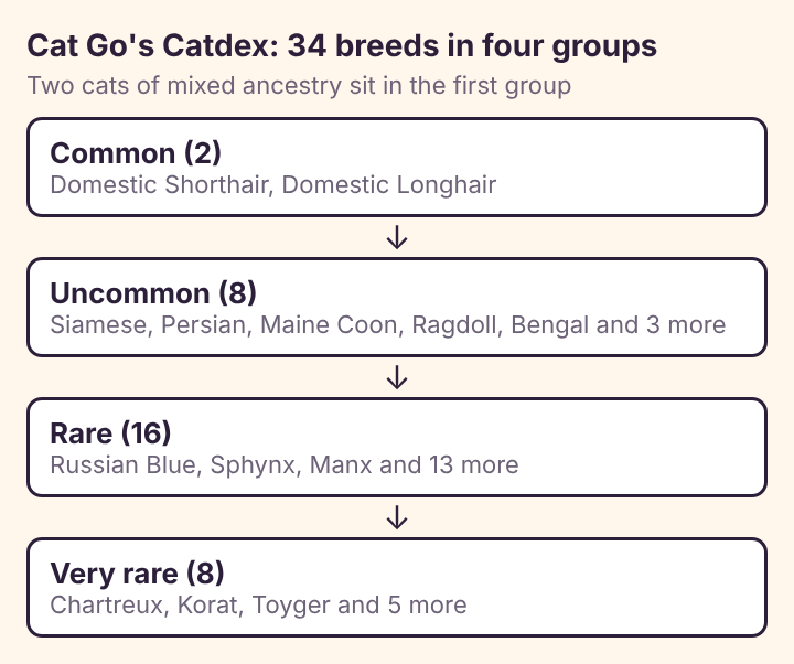 Diagram of the Catdex's four groups: Common, Uncommon, Rare and Very rare, with the two mixed-ancestry labels in Common
