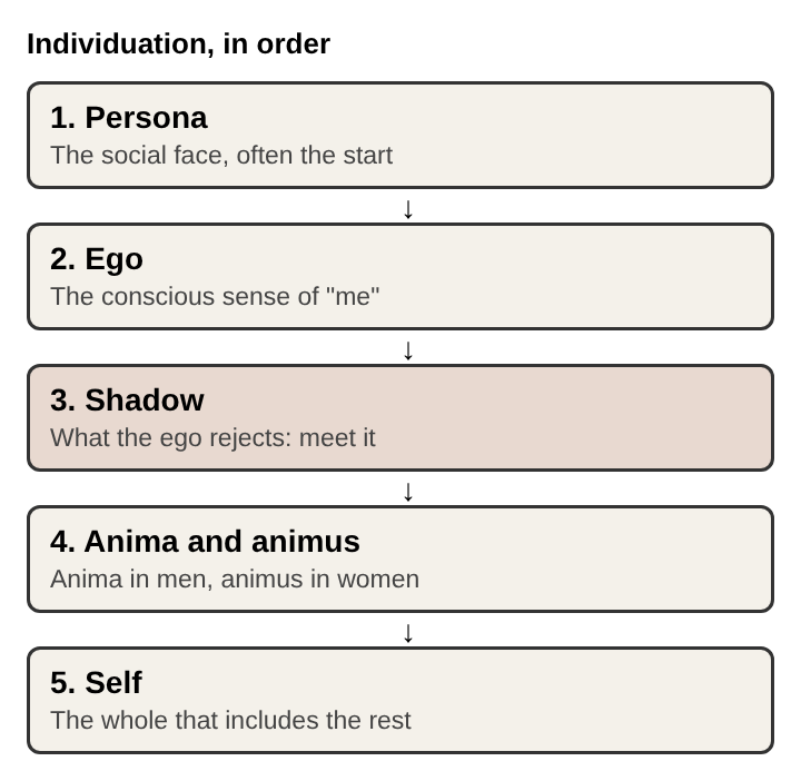 Diagram of the five stages of individuation in order: persona, ego, shadow, anima and animus, Self
