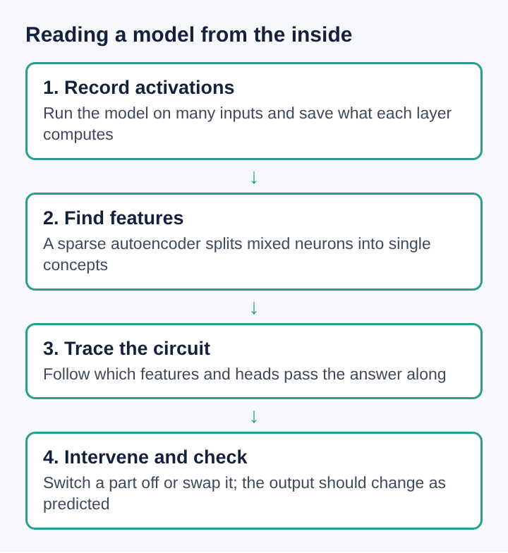 Diagram of four stacked steps: record activations, find features, trace the circuit, intervene and check