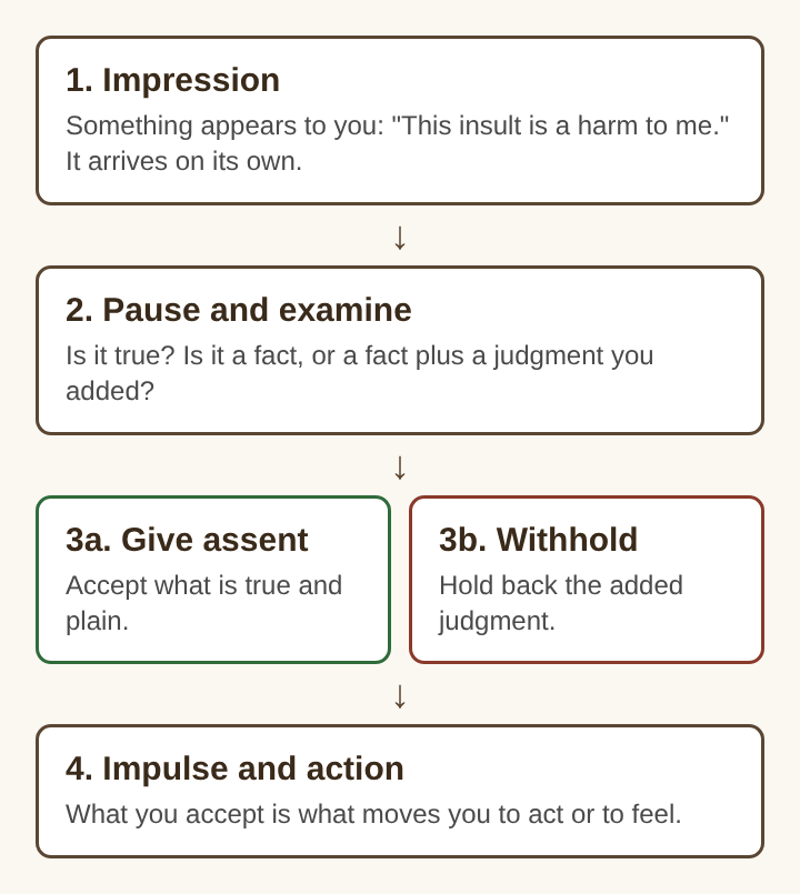 Diagram of the steps from an impression to a pause, then giving or withholding assent, then impulse and action