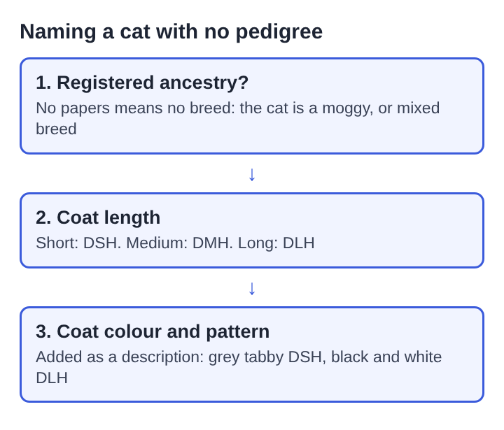 Diagram of three steps for naming a cat with no pedigree: ancestry, coat length, then colour and pattern